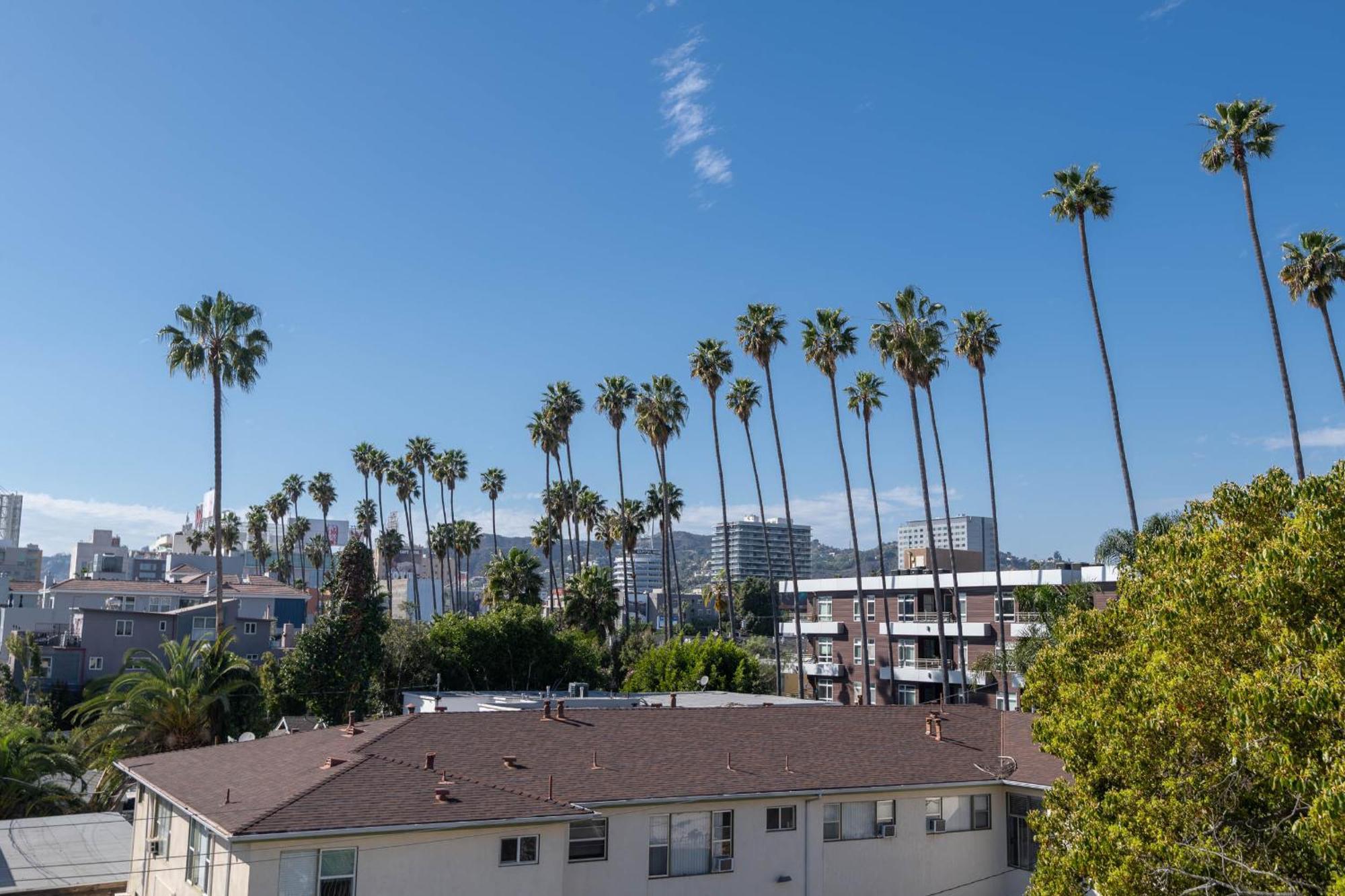Hollywood Near Walk Of Fame Apartamento